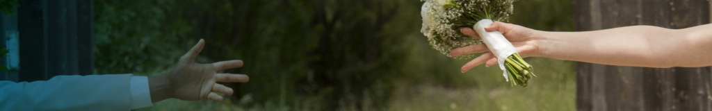 Blurred image with indistinct dark green and brown tones.