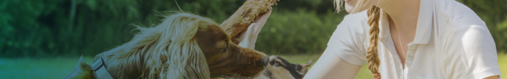 A dog and a goat touching noses while a hand pets the dog.