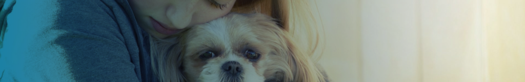 Close-up of a small dog with a human beside it.