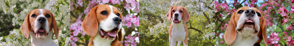 A dog sitting outdoors amidst blooming flowers and trees.