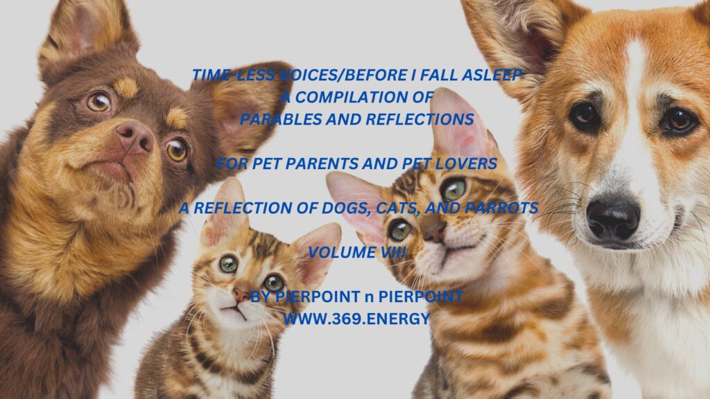 A dog and two cats with text about a pet voices compilation.